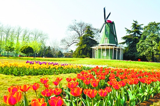 �ٻ��R�� 5��@�p��ָ��