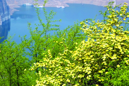 ��(j��)Դ�S�����{Ұõ�幝(ji��)