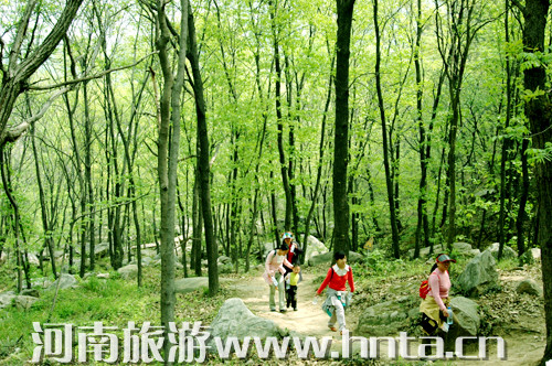 �������(hu��)��ِһ��(g��)������ ���µ����ɽ���^(q��)��(l��)����