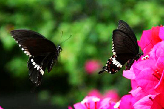 �������� ��������ȥ