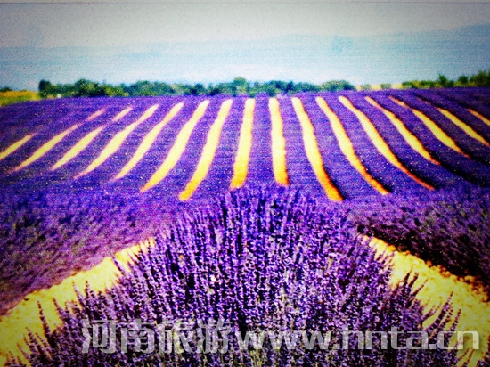 �������m˹޹�²��f�@���ι���