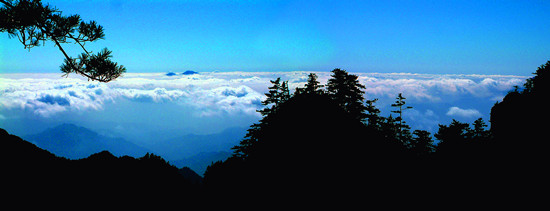 ���(y��ng)����ɽ�Ї�(gu��)���������ۃ�(y��u)��