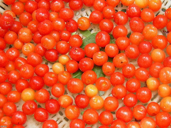 ����ժ���� ���ϲ�ժ�����]