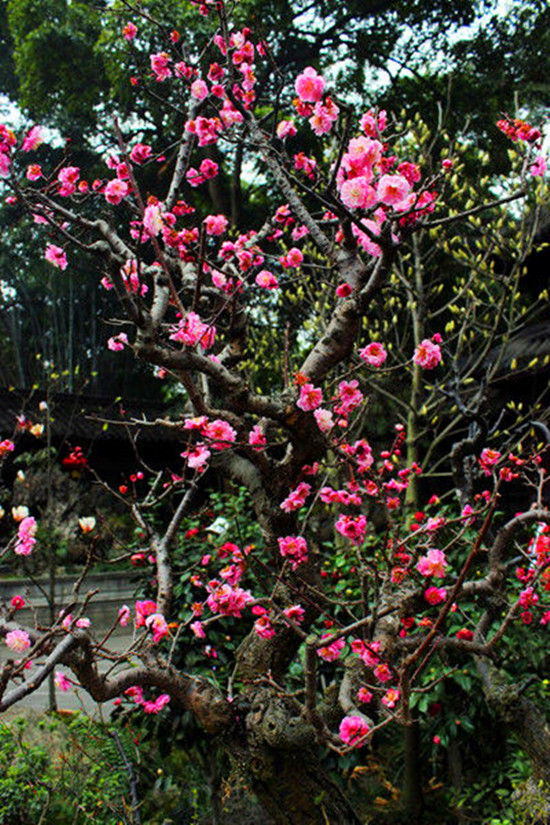 Ů���绨 �S����������p��ȥ