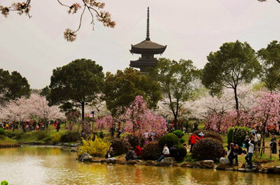 Ů���绨 �S����������p��ȥ