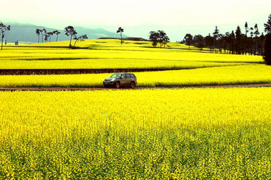 Ů���绨 �S����������p��ȥ