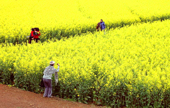 Ů���绨 �S����������p��ȥ