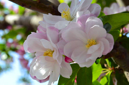 Ů���绨 �S����������p��ȥ