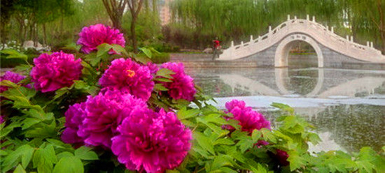 Ů���绨 �S����������p��ȥ