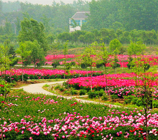 Ů���绨 �S����������p��ȥ