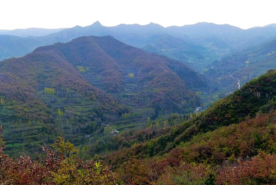 ��һ���Η��� 14�q�����TƱȫ��