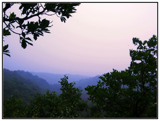 ����ͽ��·�����]