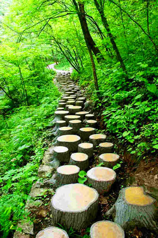 ����ͽ��·�����]