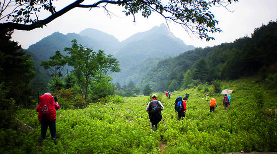 ����ͽ��·�����]