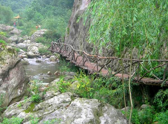 ����ͽ��·�����]