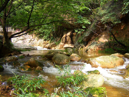 ����ͽ��·�����]