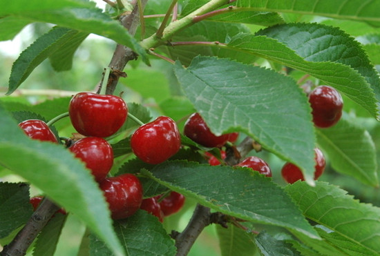 ���ݙ��ҹ�(ji��)����5��9���ڙ��Ҝ��_Ļ