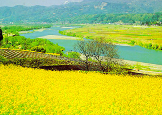 ����e��&ldquo;�ݰ��ر�&rdquo;�����l(xi��ng)��ȫ����܇�����A