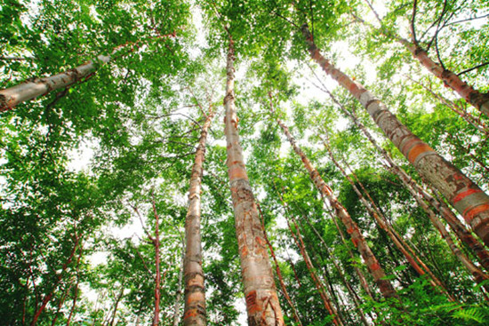 �����������(zh��)�з֕r�����M����