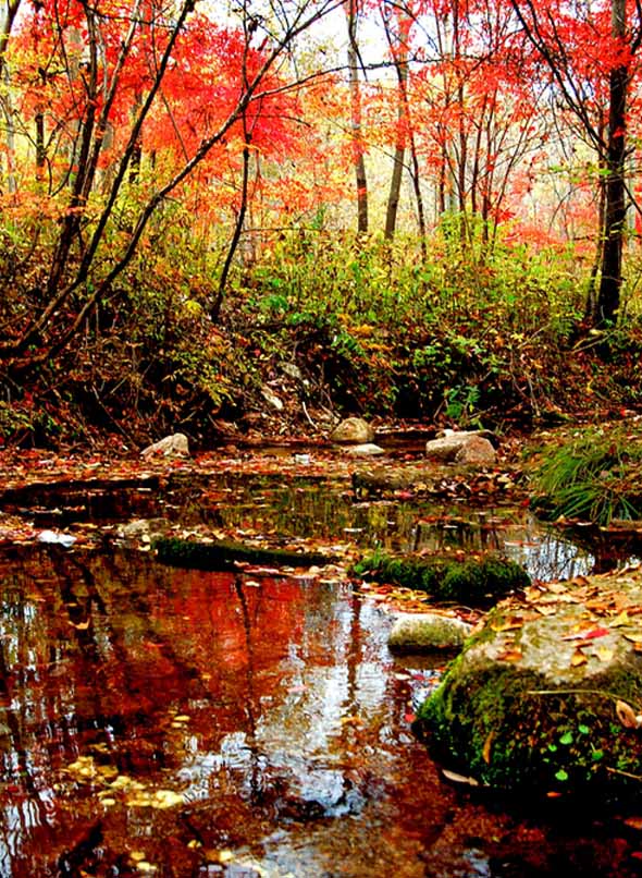 �Ї������� ȫ���质�Ƴ����e������