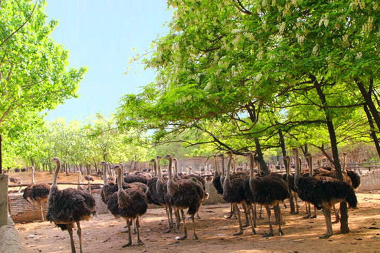 ��ĩ��������ȥ ��������r�B�B(y��ng)ֳ���؄e�e�^