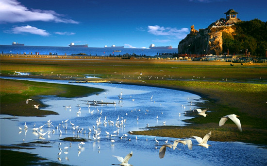 ������(n��i)��ѳ��ε����]