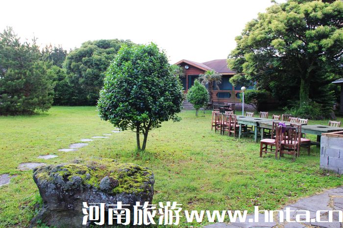 鄭州飛濟(jì)州島旅游包機(jī)