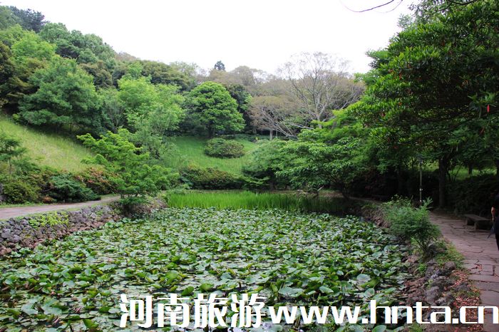 �����w��(j��)�ݍu���ΰ��C(j��)