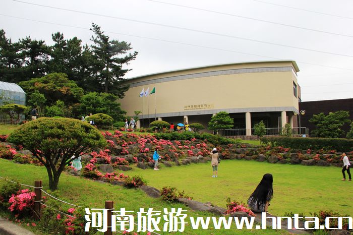 鄭州飛濟(jì)州島旅游包機(jī)