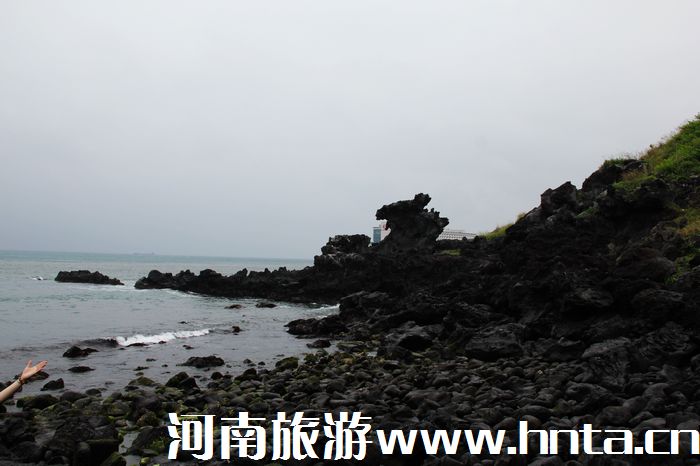 �����w���ݍu���ΰ��C