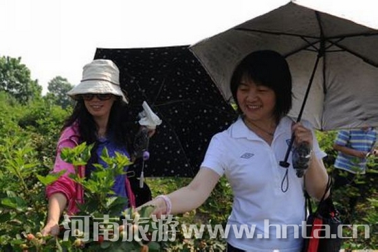 ��ĩ���݊�Ӵ�ժ&ldquo;��ݮ&rdquo;