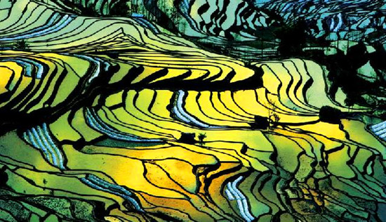 �½���ɽ�����Ϲ����������x�����z�a(ch��n)Ŀ�