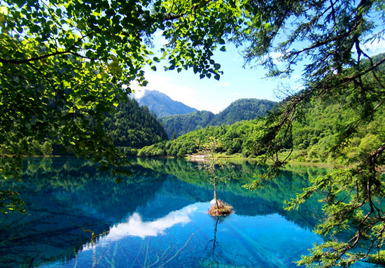 ����ֱ�w�Ĵ���կ�� �����w�C(j��)ȥ��կ