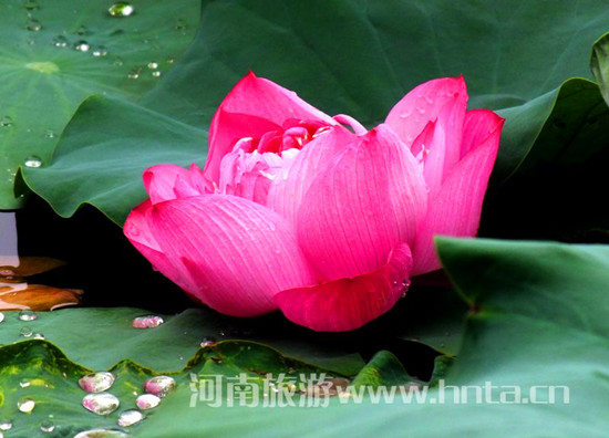 �����p�λ�Ŀ�ĵ����]