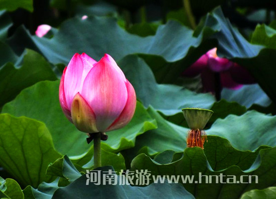 �����p�λ�Ŀ�ĵ����]