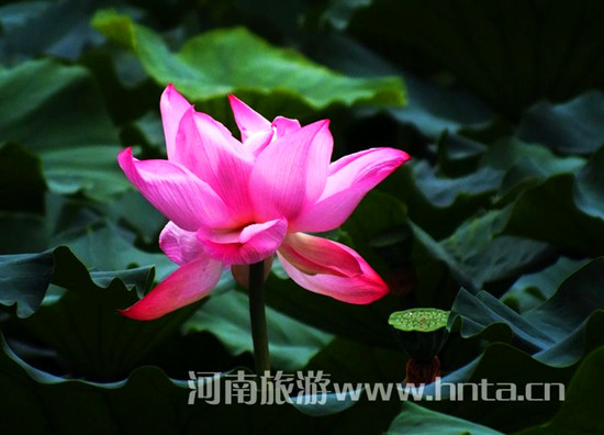 �����p�λ�Ŀ�ĵ����]