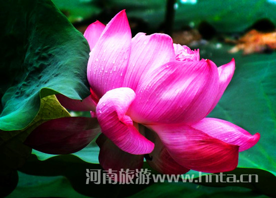 �����p�λ�Ŀ�ĵ����]