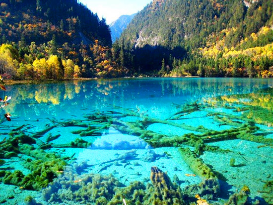 �����_ͨ���Ĵ���կ��ֱ�w����