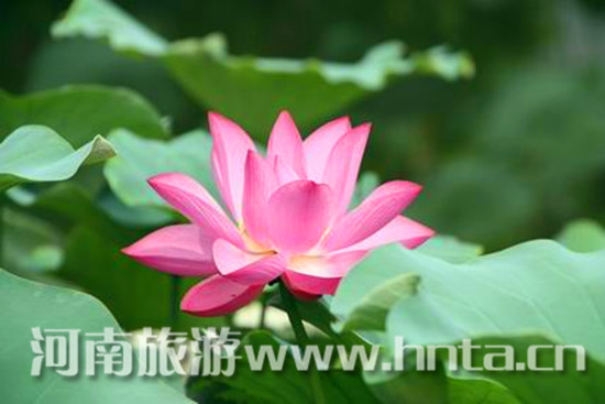 �_���ʮ�úɻ�ˇ�g(sh��)��(ji��)�_Ļ 