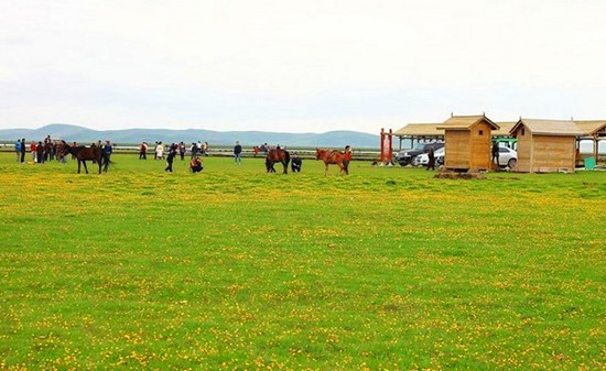 �߿����(l��i)���� �@��(g��)����ȥ����