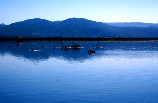 �߿�������� �@������ȥ����