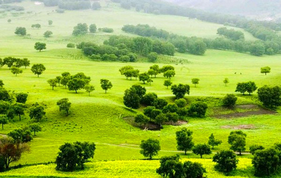 �߿����(l��i)���� �@��(g��)����ȥ����