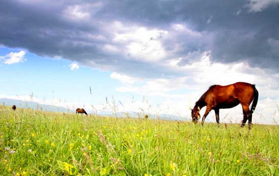 �߿����(l��i)���� �@��(g��)����ȥ����