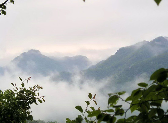 �߿��W(xu��)���p���� ���Ͼ��^(q��)�����]