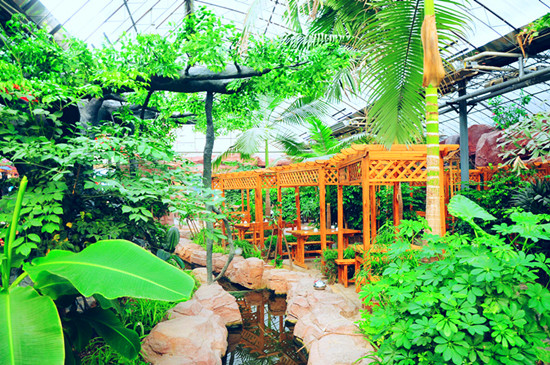 �����\�C���_��Ȫ�ȼ�ɽ�������Mϴ��Ȫ