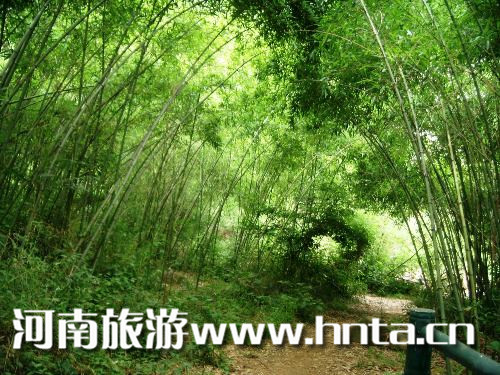 &ldquo;��ԭ�����꿨&rdquo;���߿��W(xu��)���κ���&mdash;4Aƪ