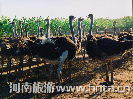 �p��һ��������