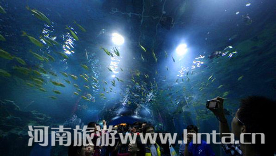 �����к����^ 