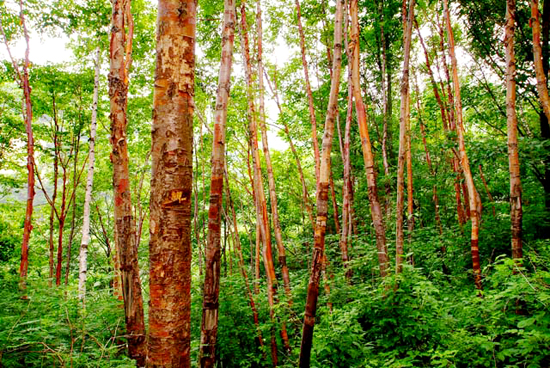 �@��(g��)���쵽������ ����21������