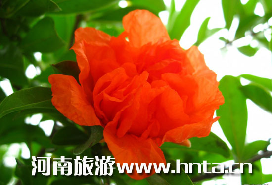 ���ʯ�����x�Ї��ļ�ʮ���p��֮��